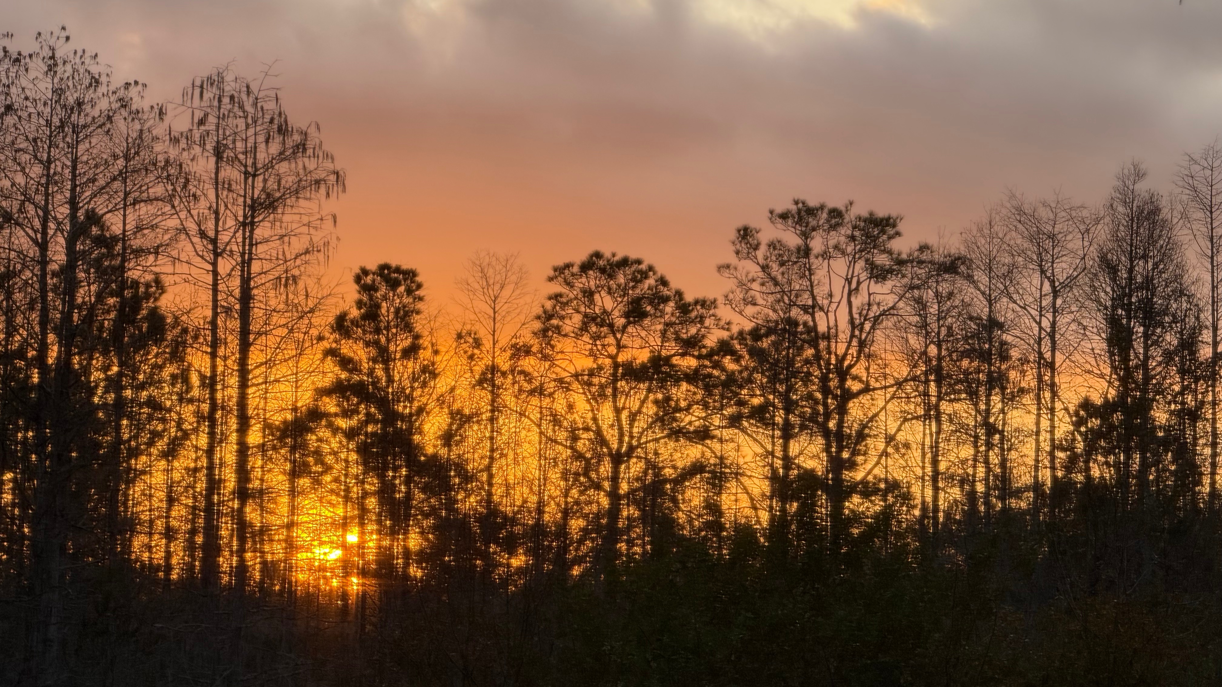 A Simple Daily Practice to Reconnect With Your Inner Wisdom